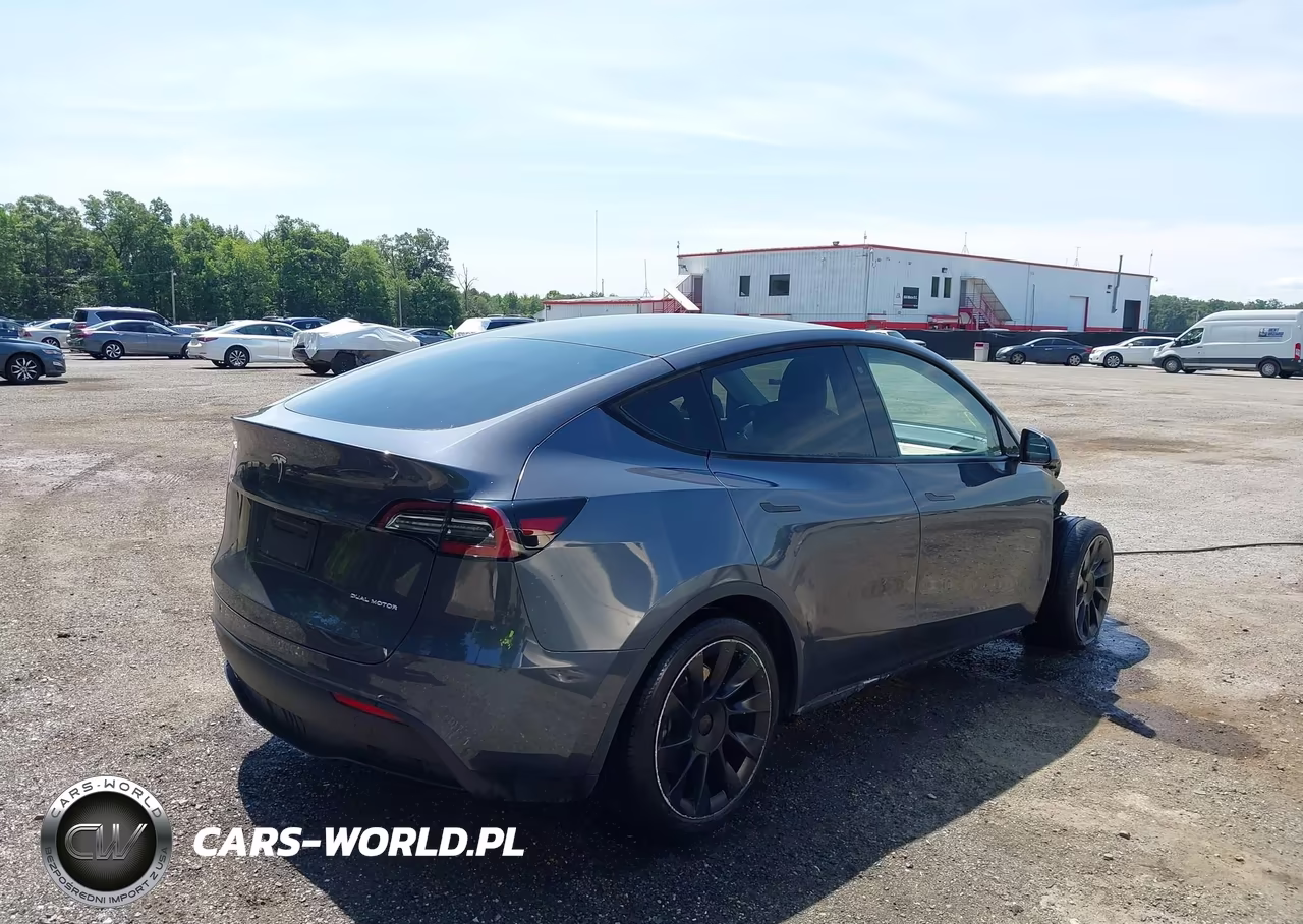 2020 Tesla Model Y Long Range Dual Motor All-Wheel Drive VIN:5YJYGDEE4LF010966 - 4