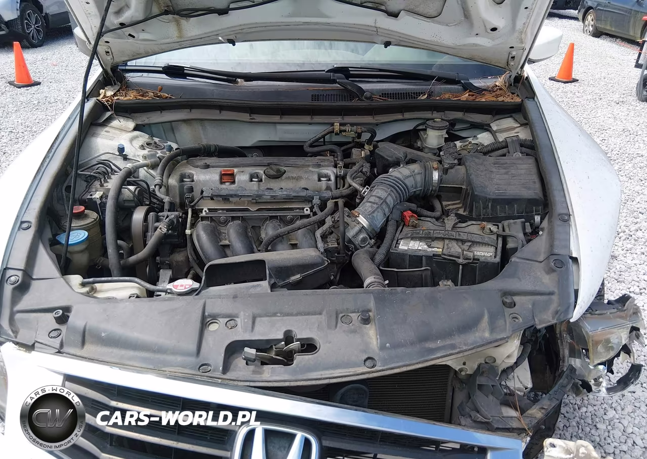 2010 Honda Accord 2.4 Lx VIN:1HGCP2F38AA190231 - 10