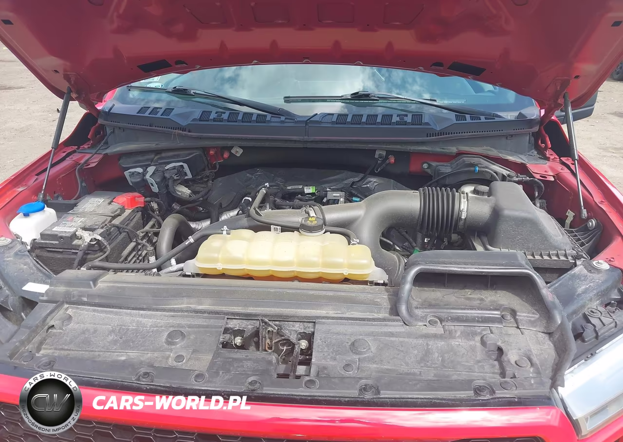 2019 Ford F-150 Xl VIN:1FTEW1EP3KKE97682 - 10