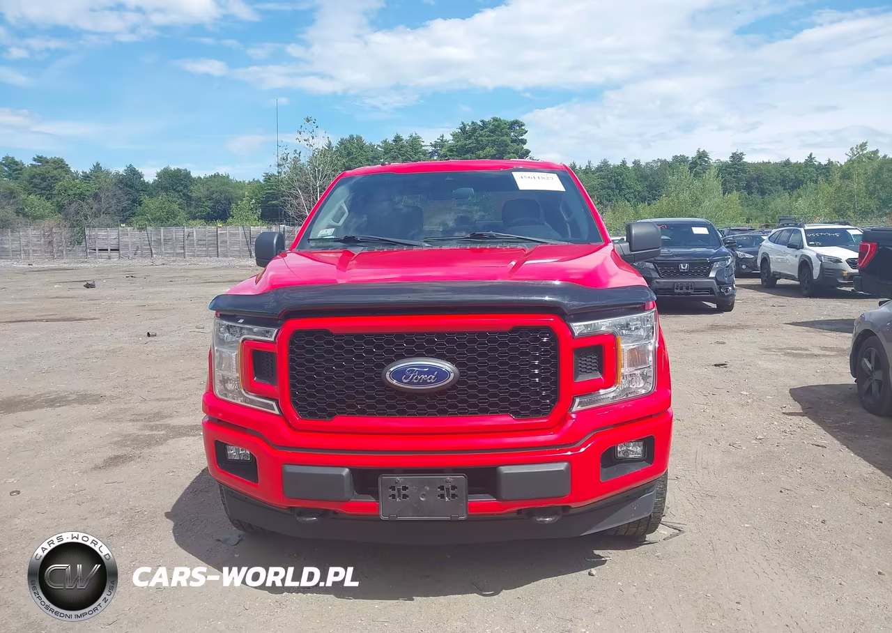 2019 Ford F-150 Xl VIN:1FTEW1EP3KKE97682 - 12