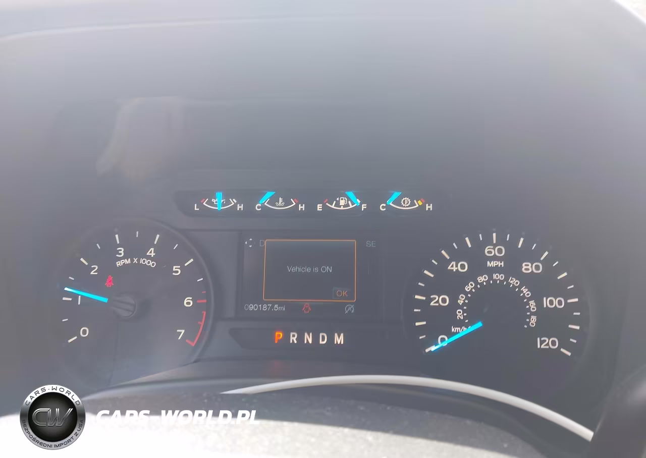 2019 Ford F-150 Xl VIN:1FTEW1EP3KKE97682 - 15