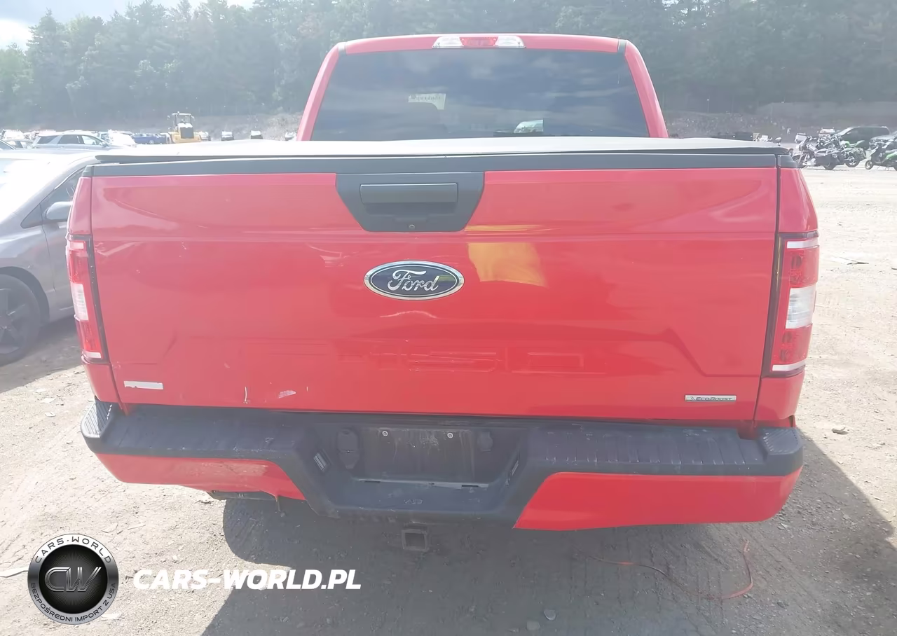 2019 Ford F-150 Xl VIN:1FTEW1EP3KKE97682 - 16