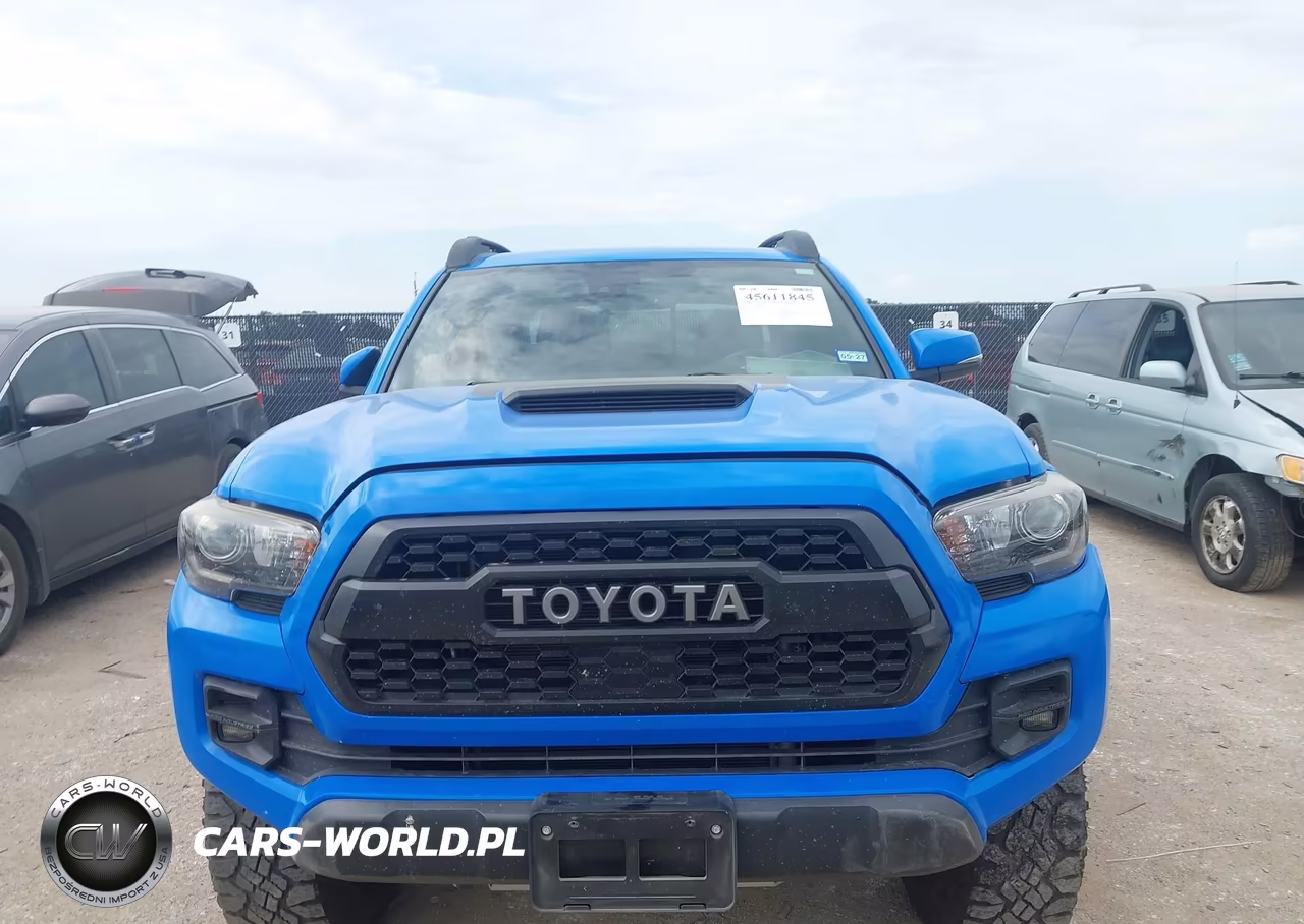 2019 Toyota Tacoma Trd Pro VIN:5TFCZ5ANXKX182343 - 11