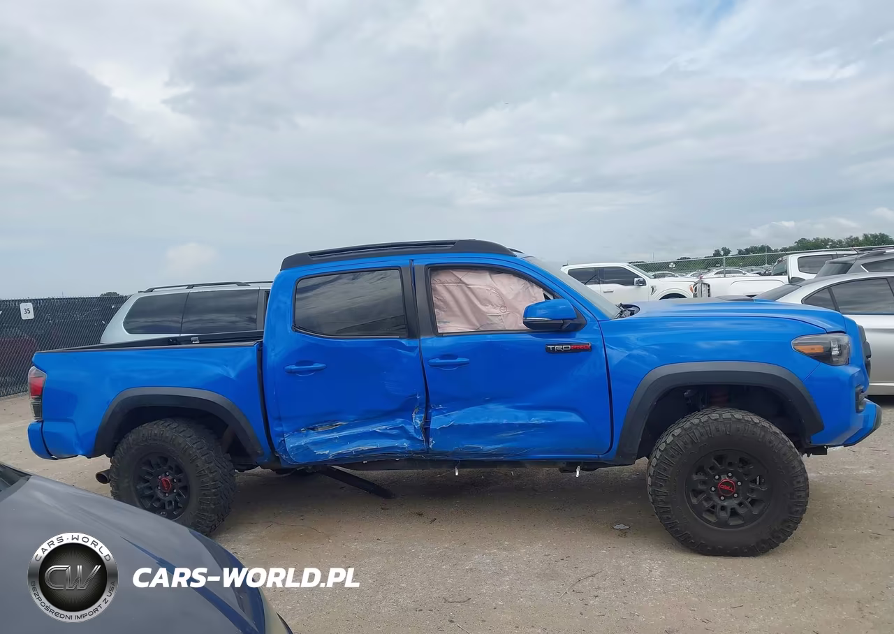 2019 Toyota Tacoma Trd Pro VIN:5TFCZ5ANXKX182343 - 12