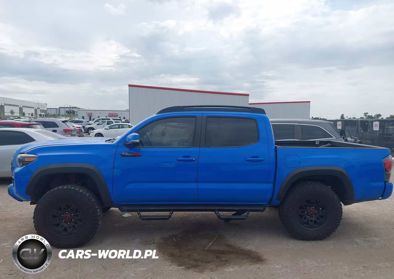 2019 Toyota Tacoma Trd Pro VIN:5TFCZ5ANXKX182343 - 13