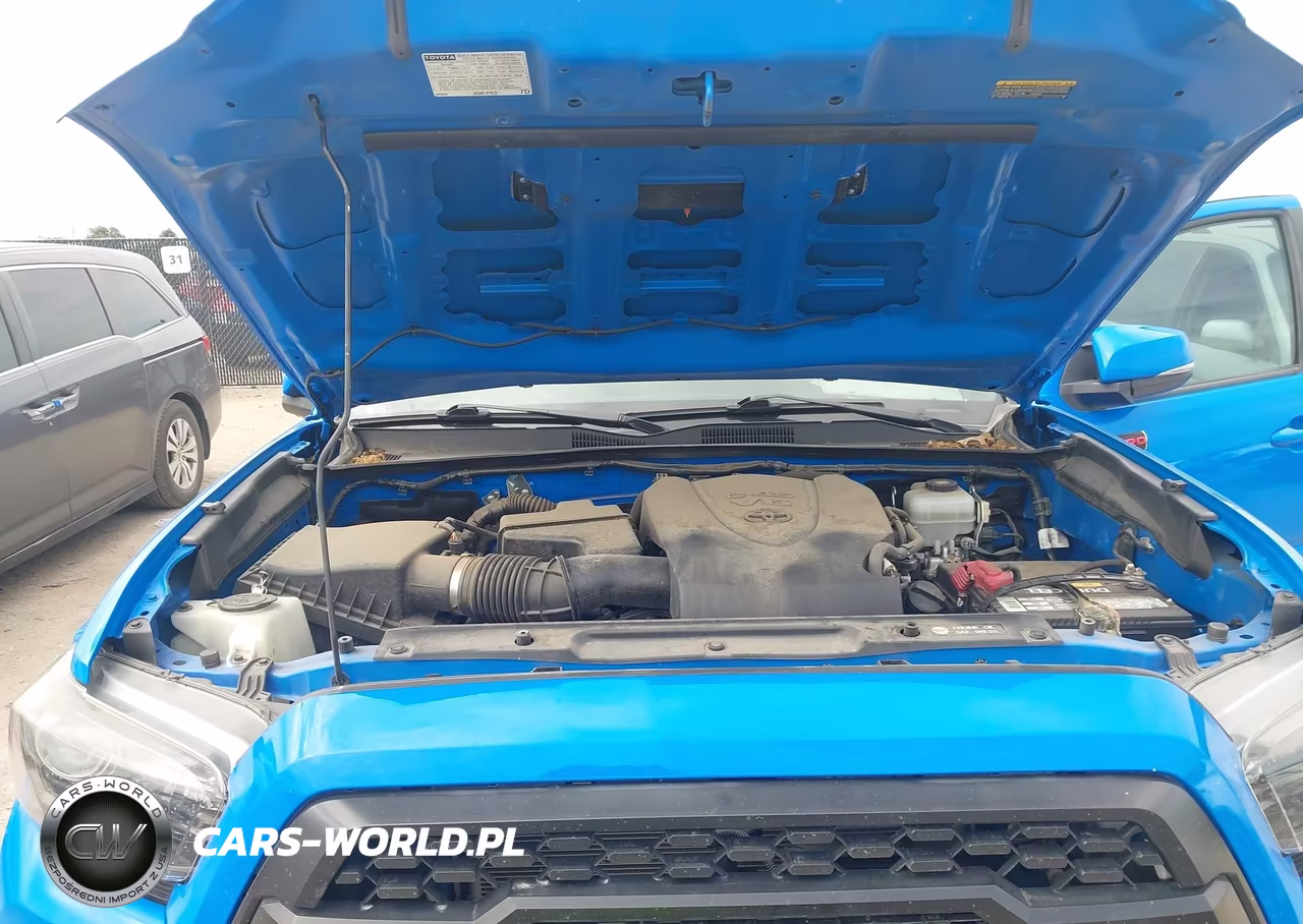 2019 Toyota Tacoma Trd Pro VIN:5TFCZ5ANXKX182343 - 9