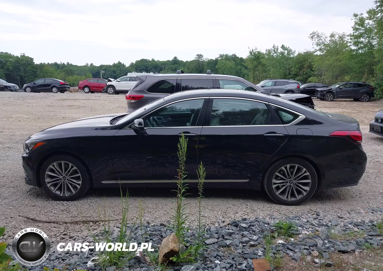 2017 Genesis G80 3.8 VIN:KMHGN4JE6HU200401 - 14