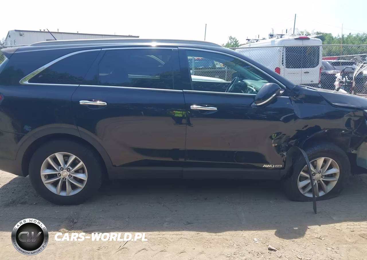 2016 Kia Sorento 3.3L Lx VIN:5XYPGDA59GG179140 - 13