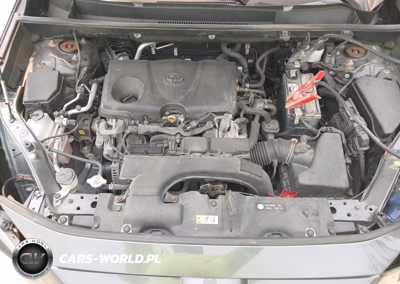 2020 Toyota Rav4 Xle VIN:2T3P1RFV2LC091941 - 10