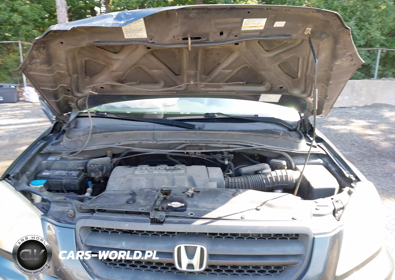 2005 Honda Pilot Ex-L VIN:5FNYF18655B050613 - 10