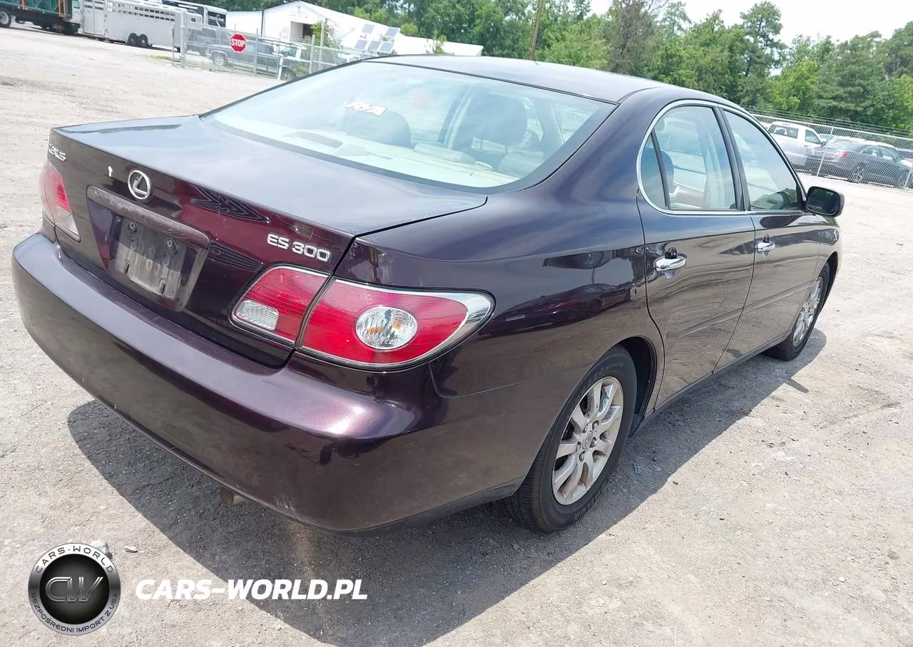 2002 Lexus Es 300 VIN:JTHBF30GX25013784 - 4
