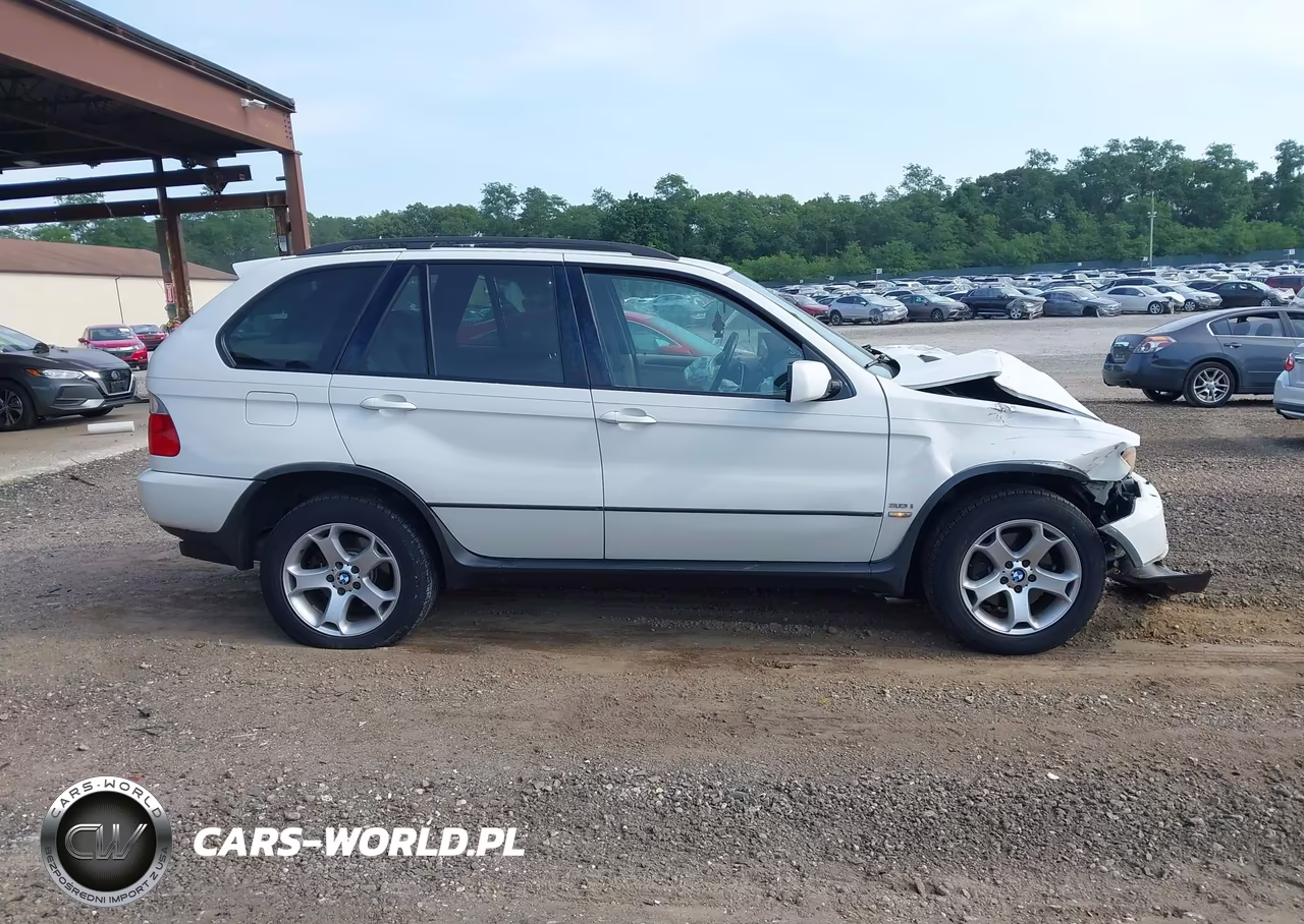 2006 BMW X5 3.0I VIN:5UXFA13556LY24747 - 13