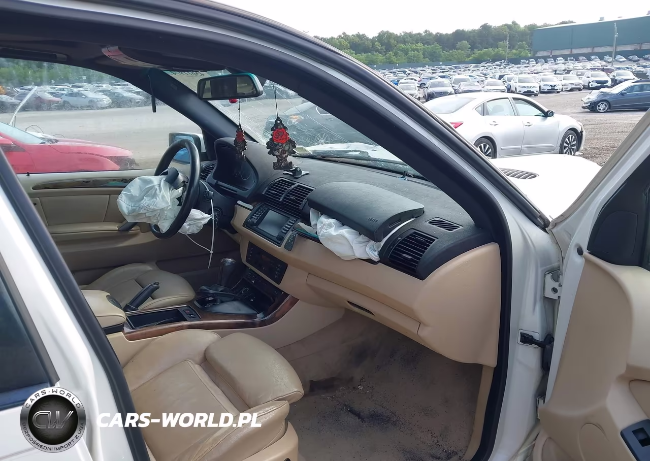 2006 BMW X5 3.0I VIN:5UXFA13556LY24747 - 5