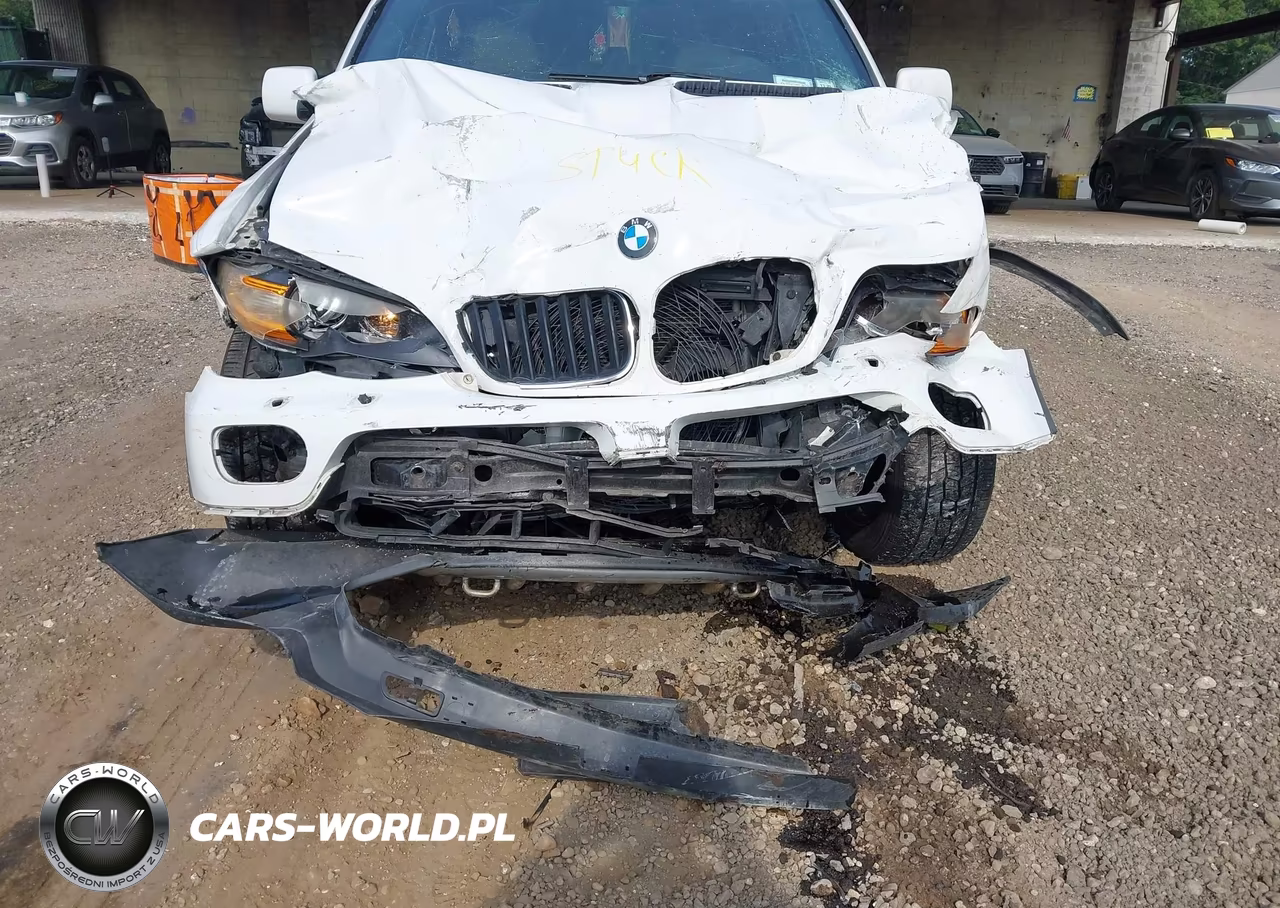 2006 BMW X5 3.0I VIN:5UXFA13556LY24747 - 6