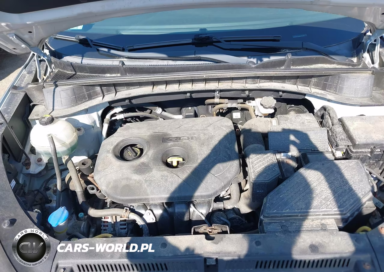 2017 Hyundai Tucson Se VIN:KM8J3CA46HU272020 - 10