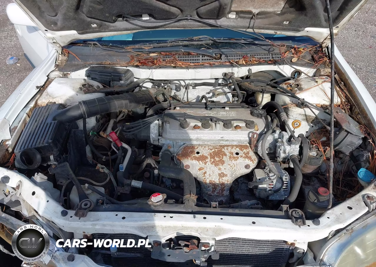 1998 Honda Accord Lx VIN:1HGCG5645WA146401 - 10