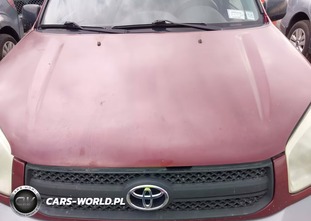 2004 Toyota Rav4 VIN:JTEHD20V440001104 - 10