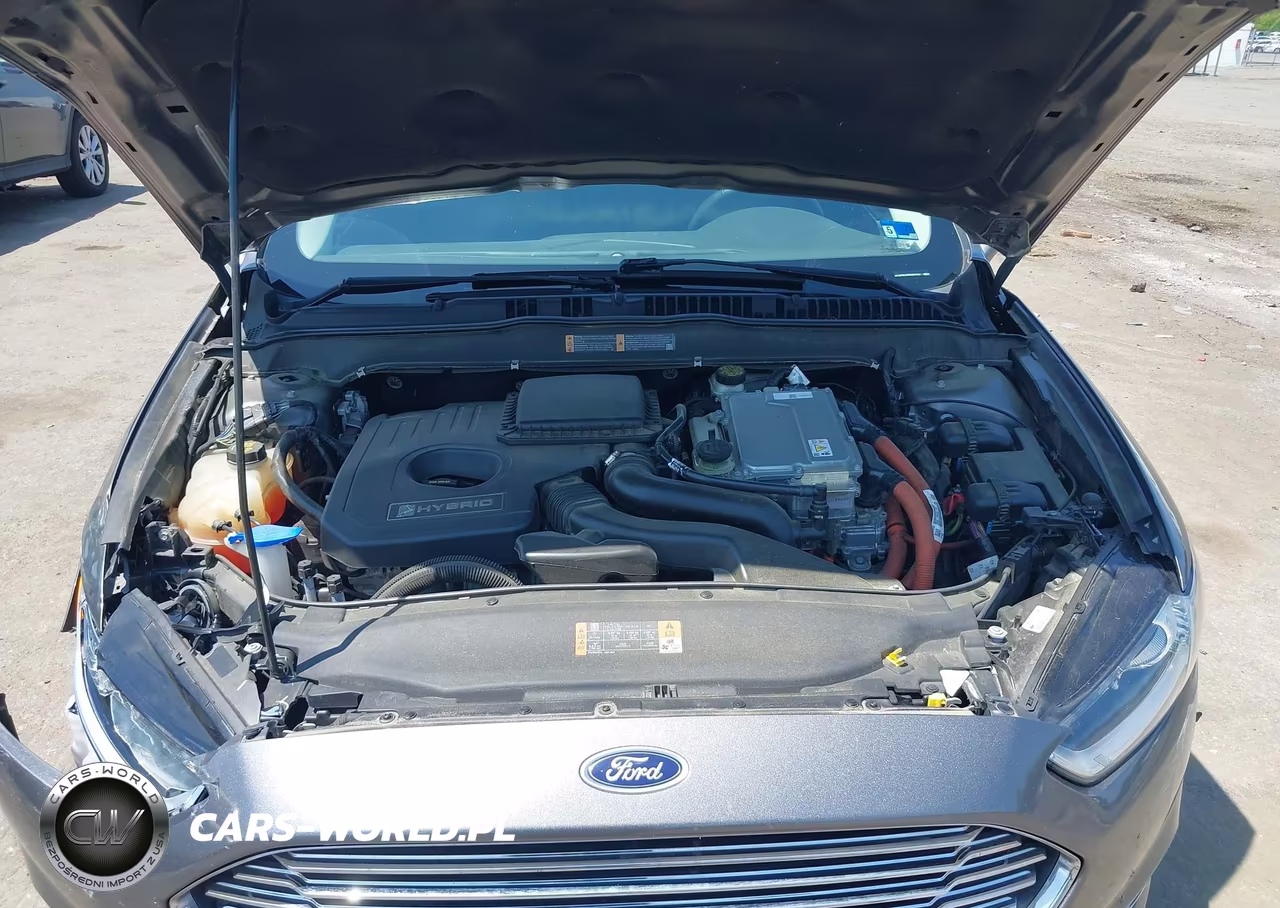 2014 Ford Fusion Hybrid Se VIN:3FA6P0LU5ER304832 - 10