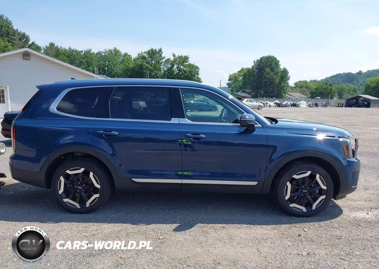 2024 Kia Telluride Ex VIN:5XYP34GC9RG500372 - 14