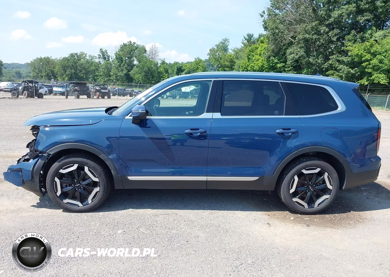 2024 Kia Telluride Ex VIN:5XYP34GC9RG500372 - 15