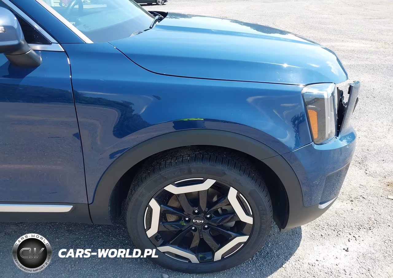 2024 Kia Telluride Ex VIN:5XYP34GC9RG500372 - 19