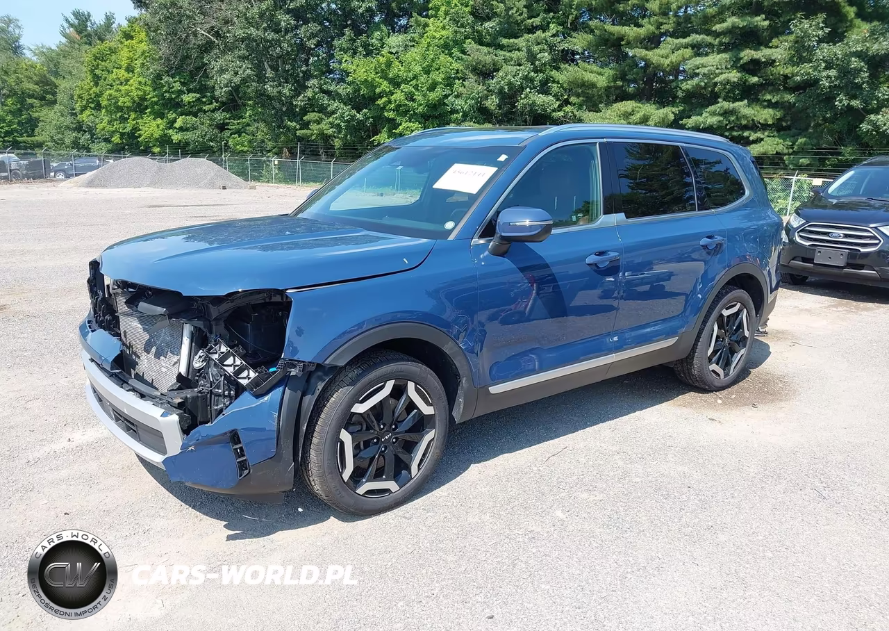 2024 Kia Telluride Ex VIN:5XYP34GC9RG500372 - 2