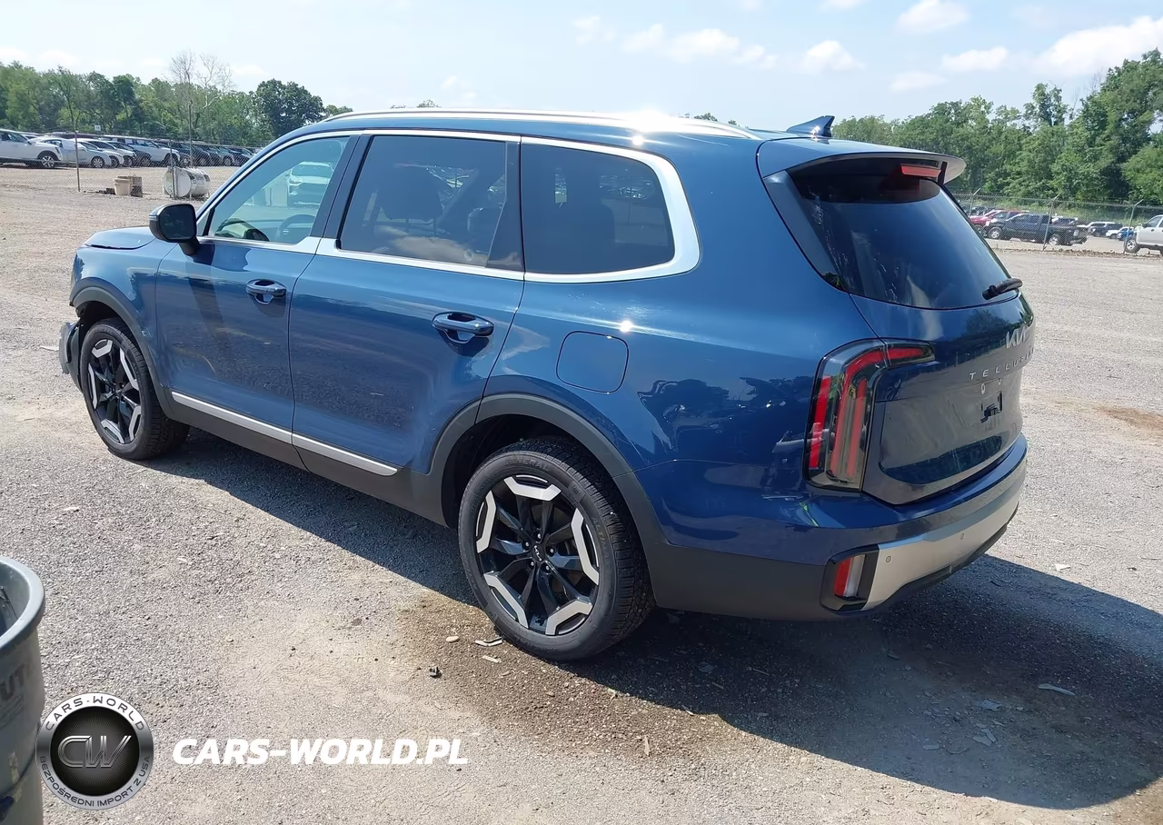 2024 Kia Telluride Ex VIN:5XYP34GC9RG500372 - 3