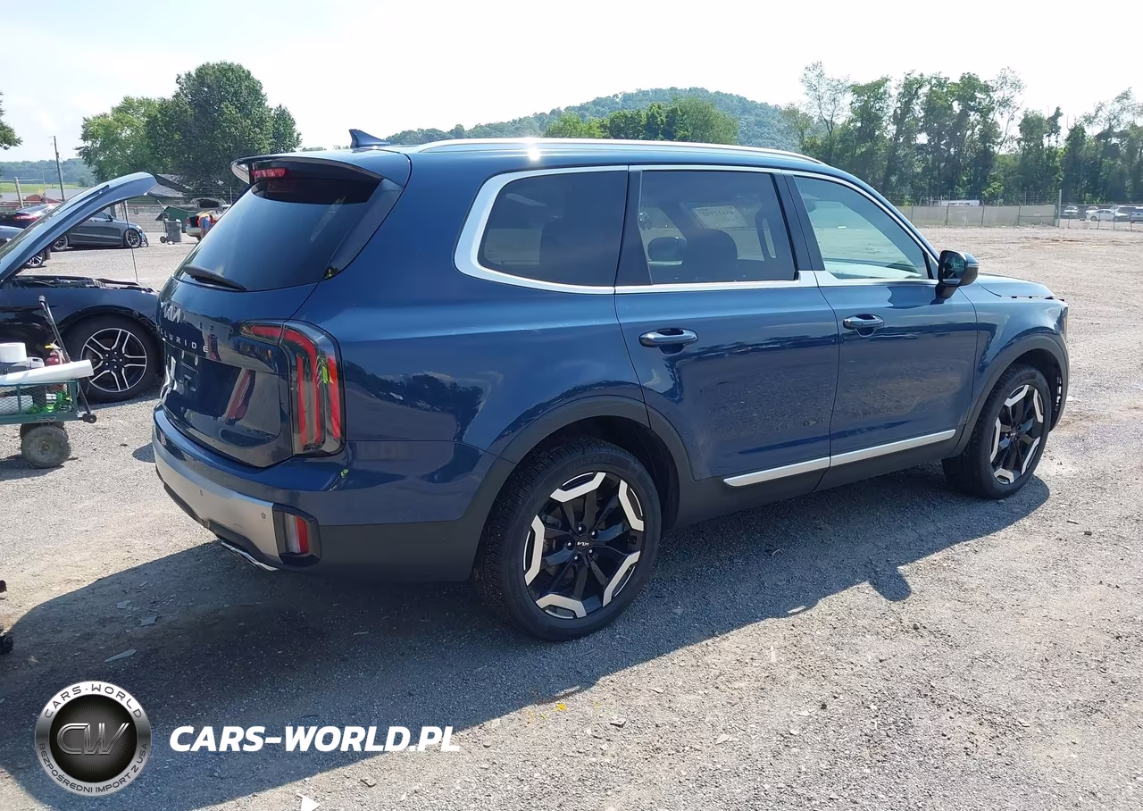 2024 Kia Telluride Ex VIN:5XYP34GC9RG500372 - 4