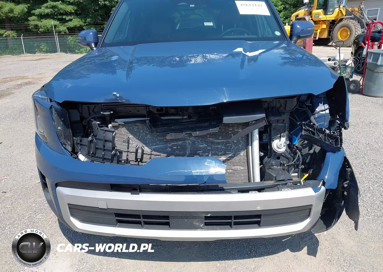 2024 Kia Telluride Ex VIN:5XYP34GC9RG500372 - 6