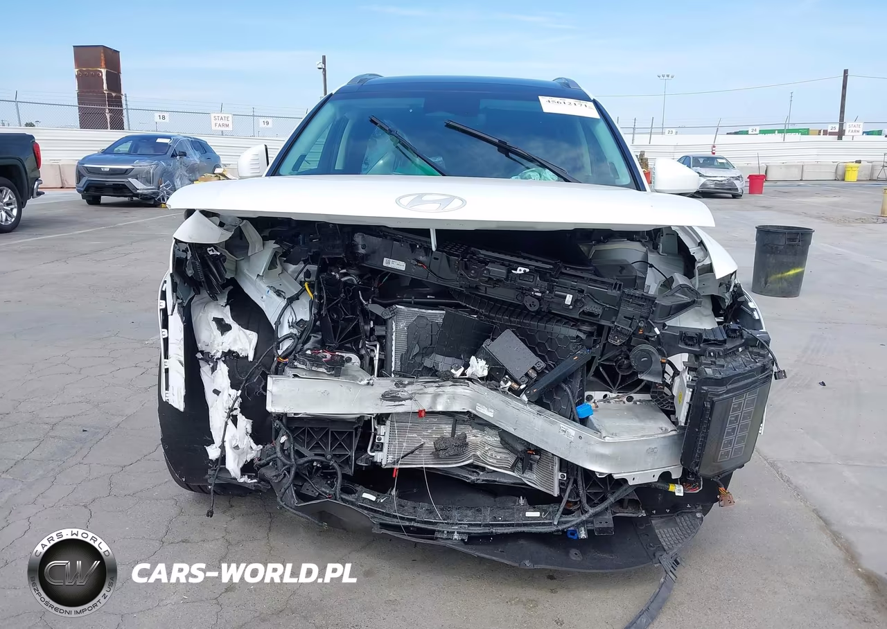 2026 Hyundai Ioniq 9 Performance Calligraphy VIN:7YAMYFS58TY001210 - 13