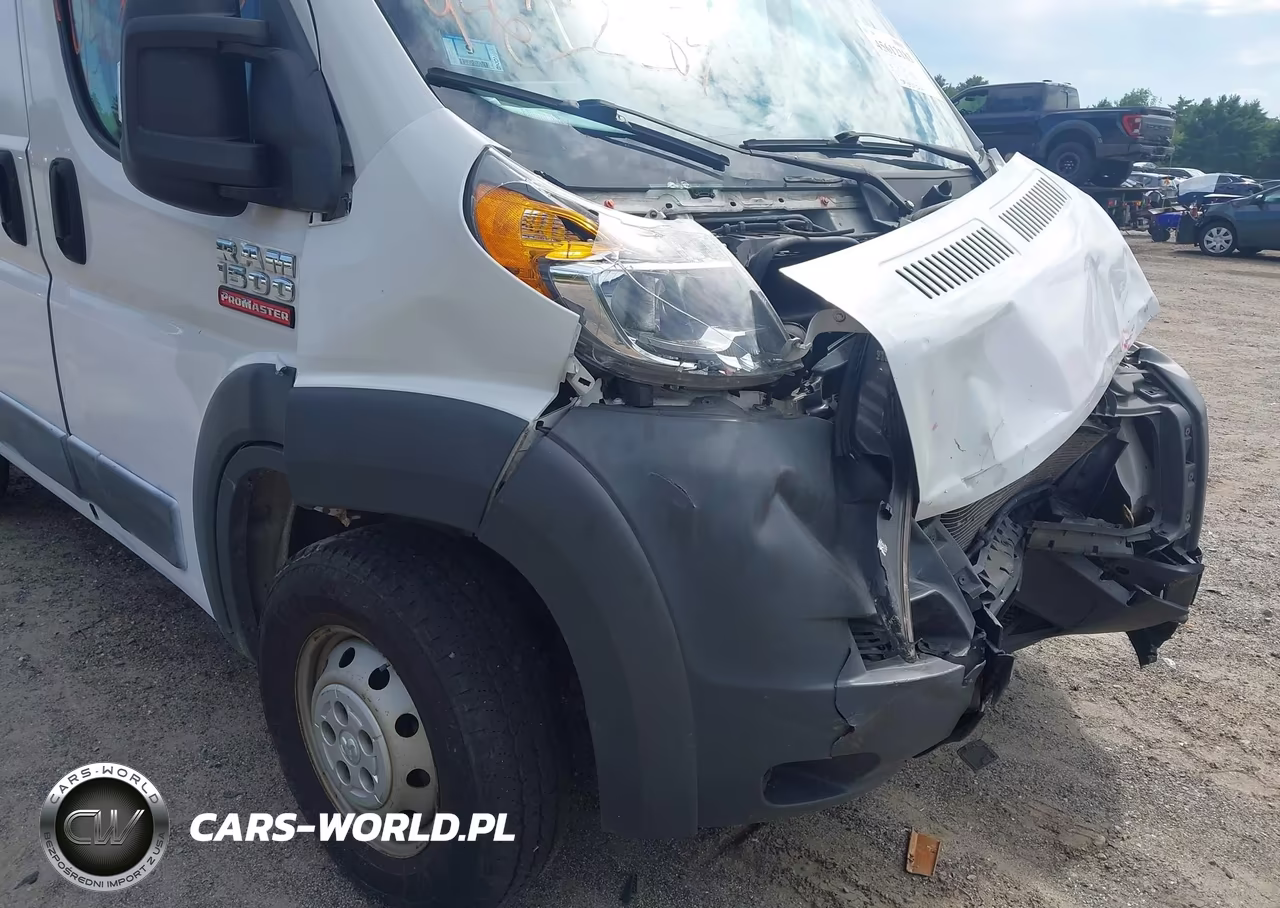 2014 Ram Promaster 1500 Low Roof VIN:3C6TRVNG5EE114538 - 19