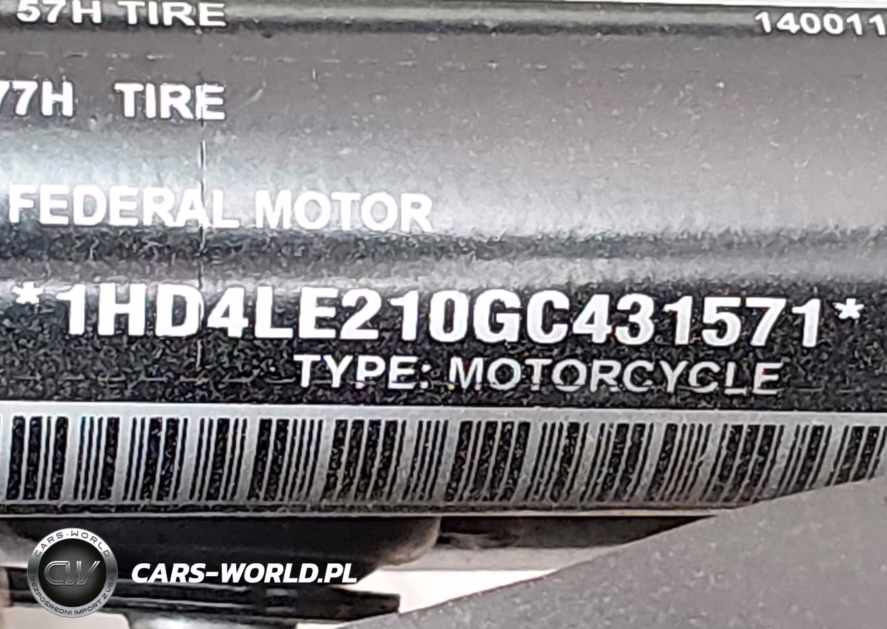 2016 Harley-Davidson Xl883 Iron 883 VIN:1HD4LE210GC431571 - 10