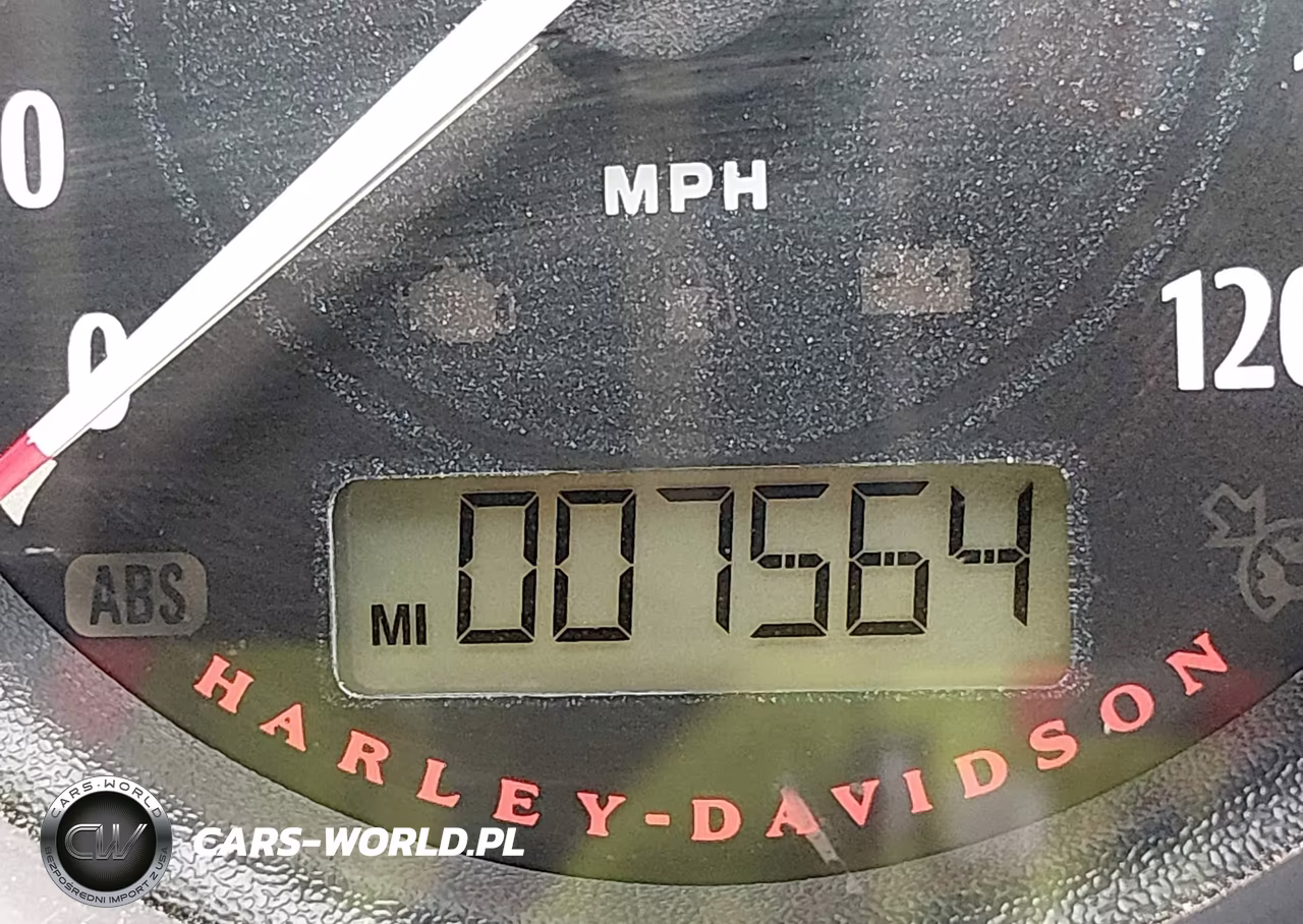 2016 Harley-Davidson Xl883 Iron 883 VIN:1HD4LE210GC431571 - 7
