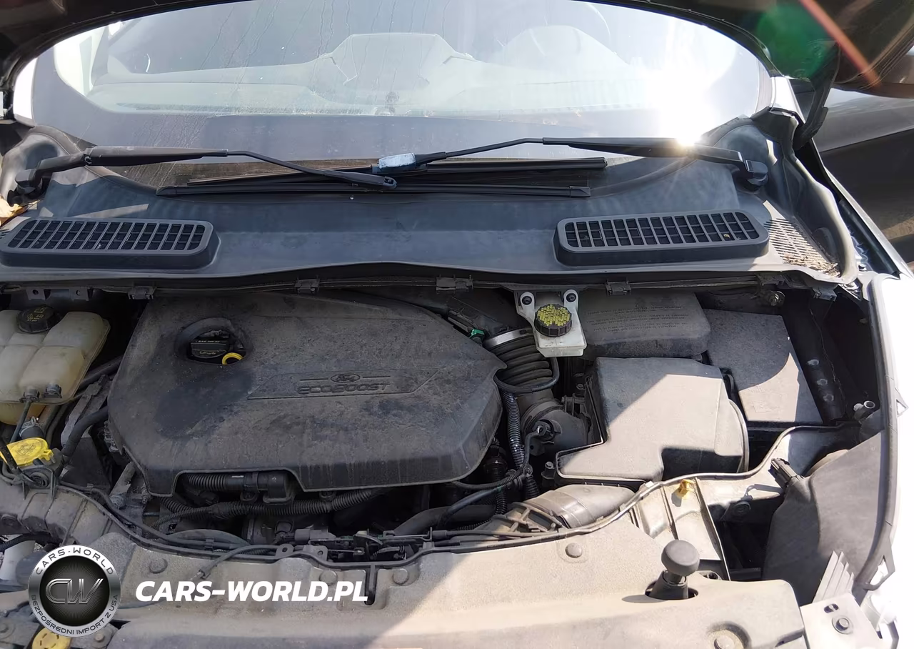 2015 Ford Escape Se VIN:1FMCU0GX5FUA59076 - 10