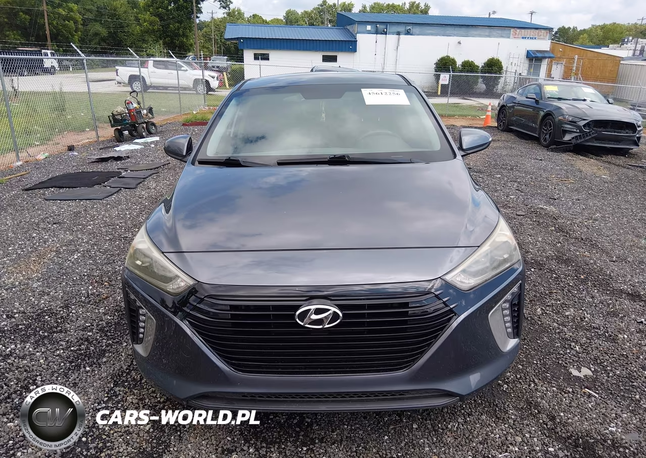 2018 Hyundai Ioniq Hybrid Sel VIN:KMHC75LC9JU062269 - 12