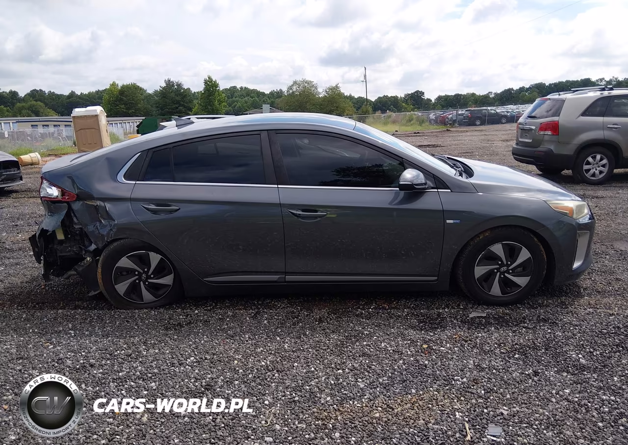 2018 Hyundai Ioniq Hybrid Sel VIN:KMHC75LC9JU062269 - 13
