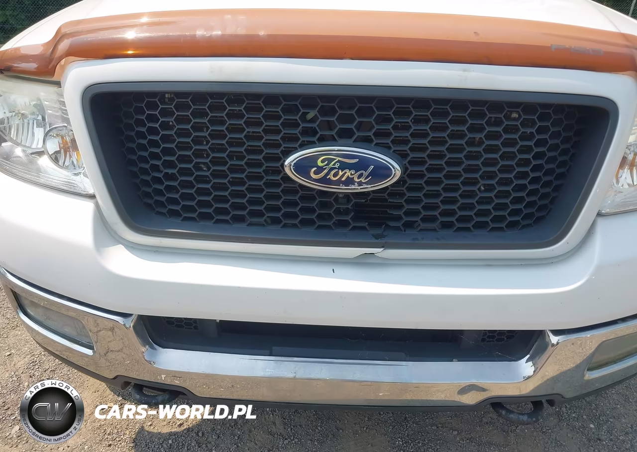 2004 Ford F-150 Fx4-Lariat-Xl-Xlt VIN:1FTPX14544NB24979 - 6