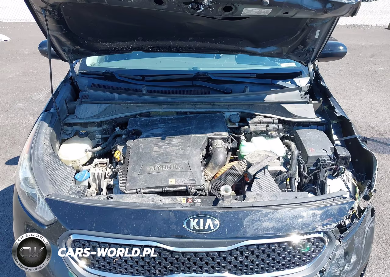 2017 Kia Niro Fe VIN:KNDCB3LC1H5100539 - 10