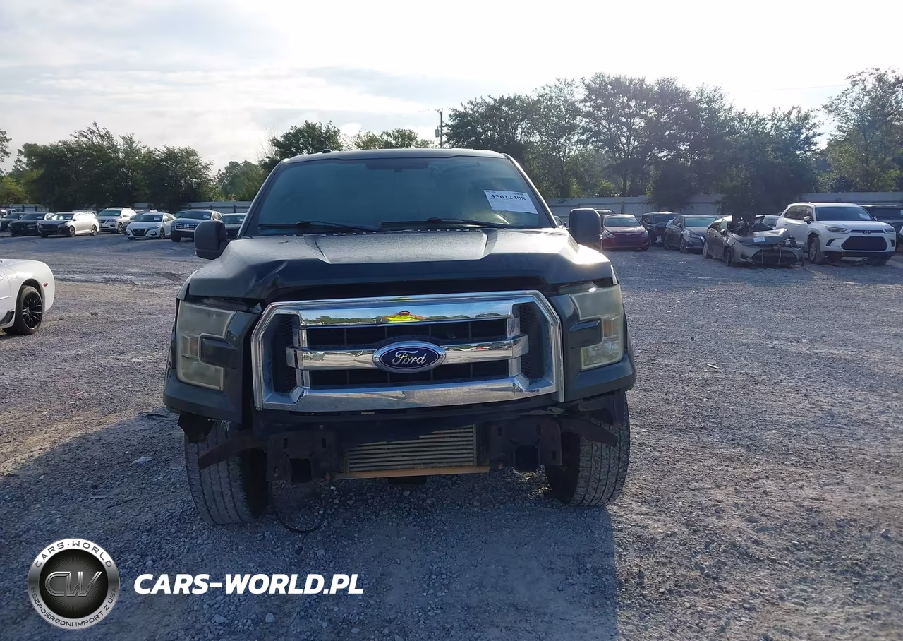 2015 Ford F-150 Xlt VIN:1FTEW1CP8FFC47906 - 12