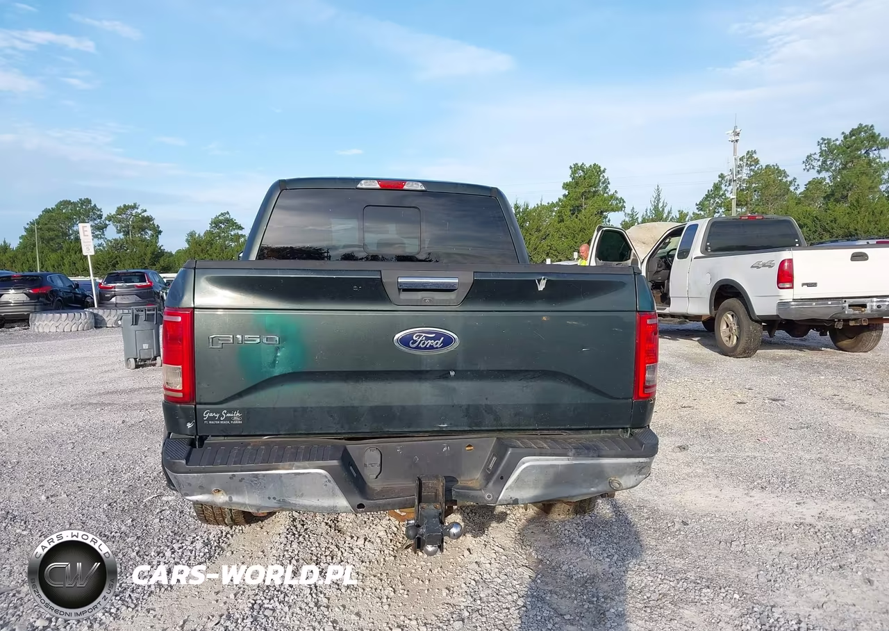 2015 Ford F-150 Xlt VIN:1FTEW1CP8FFC47906 - 16