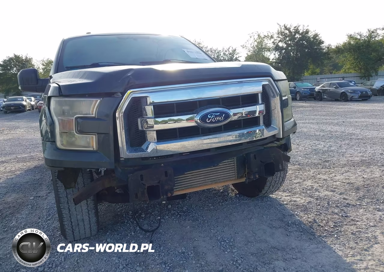 2015 Ford F-150 Xlt VIN:1FTEW1CP8FFC47906 - 17