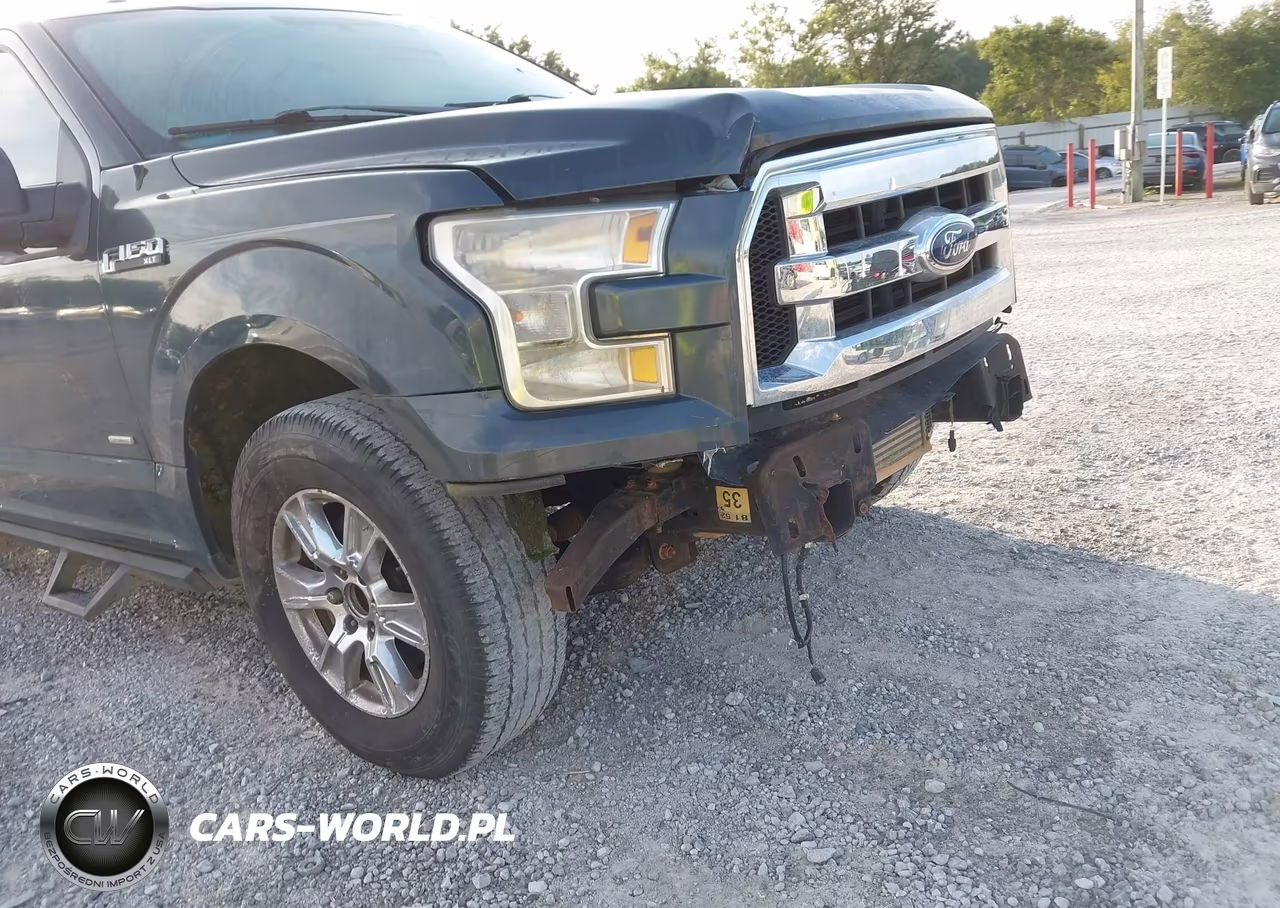 2015 Ford F-150 Xlt VIN:1FTEW1CP8FFC47906 - 18