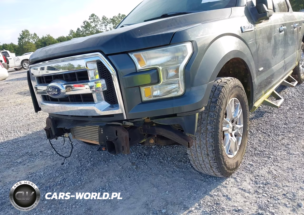 2015 Ford F-150 Xlt VIN:1FTEW1CP8FFC47906 - 19