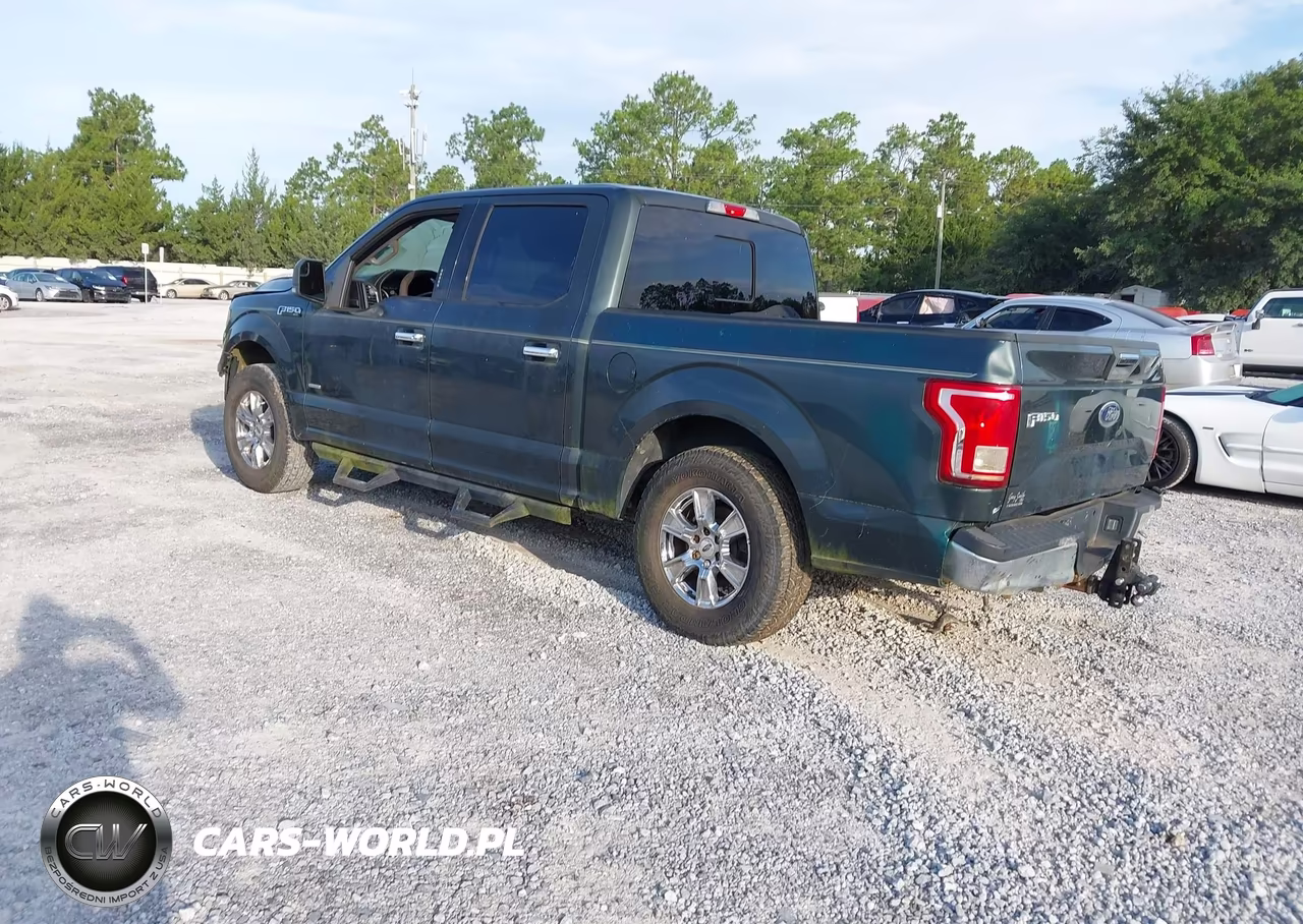 2015 Ford F-150 Xlt VIN:1FTEW1CP8FFC47906 - 3