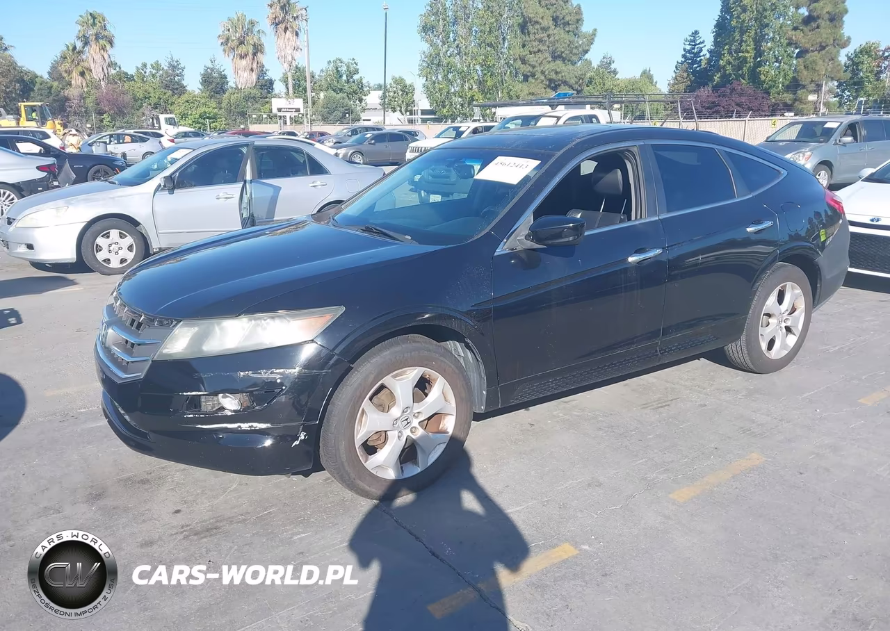 2011 Honda Accord Crosstour Ex-L VIN:5J6TF1H51BL002594 - 2