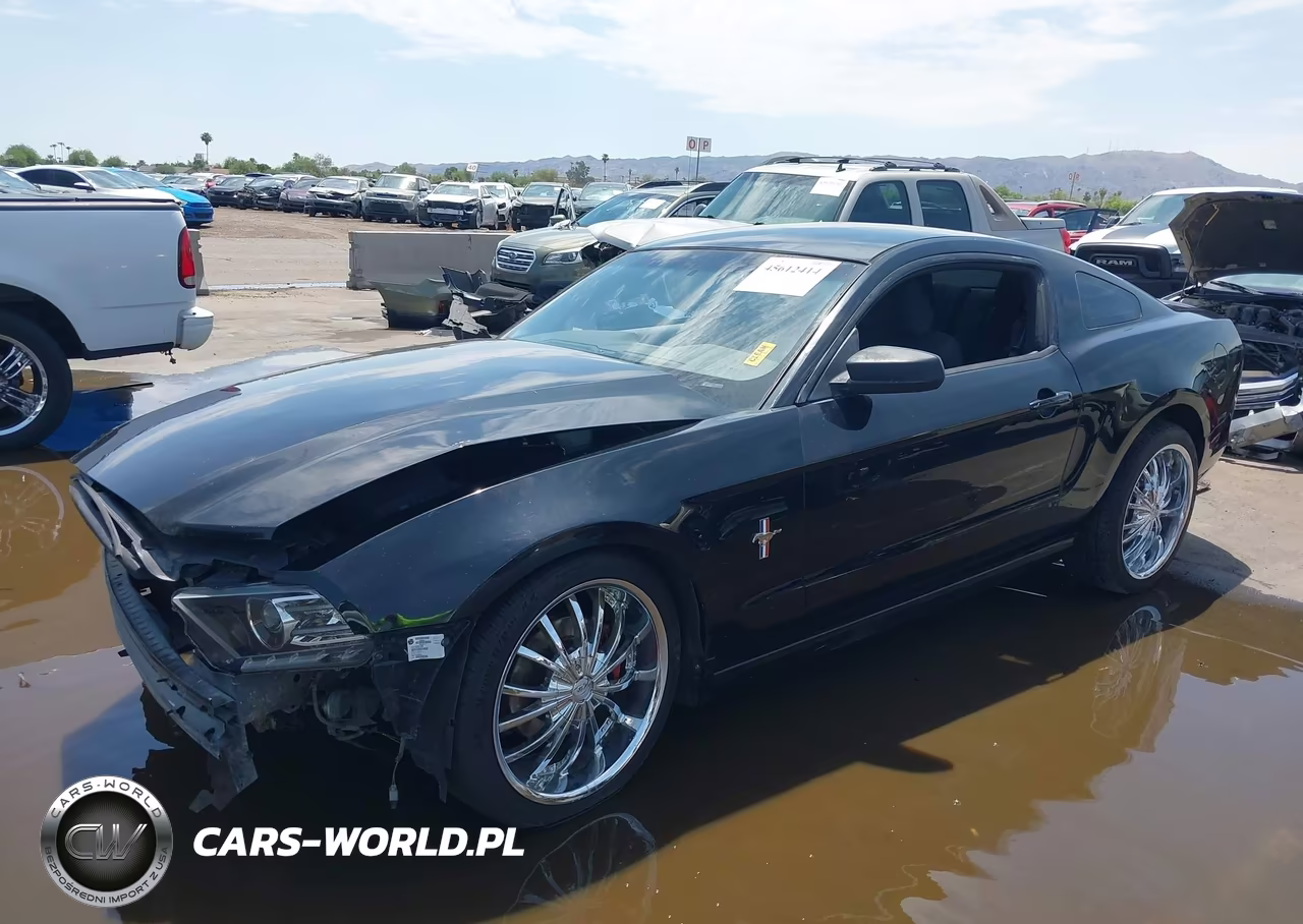 2014 Ford Mustang V6 VIN:1ZVBP8AM9E5257217 - 2