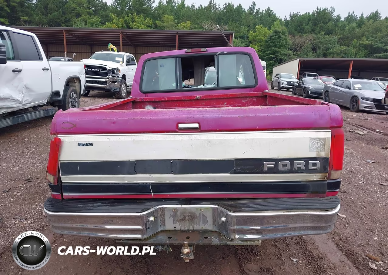 1994 Ford F150 VIN:1FTEX15N4RKA31359 - 15
