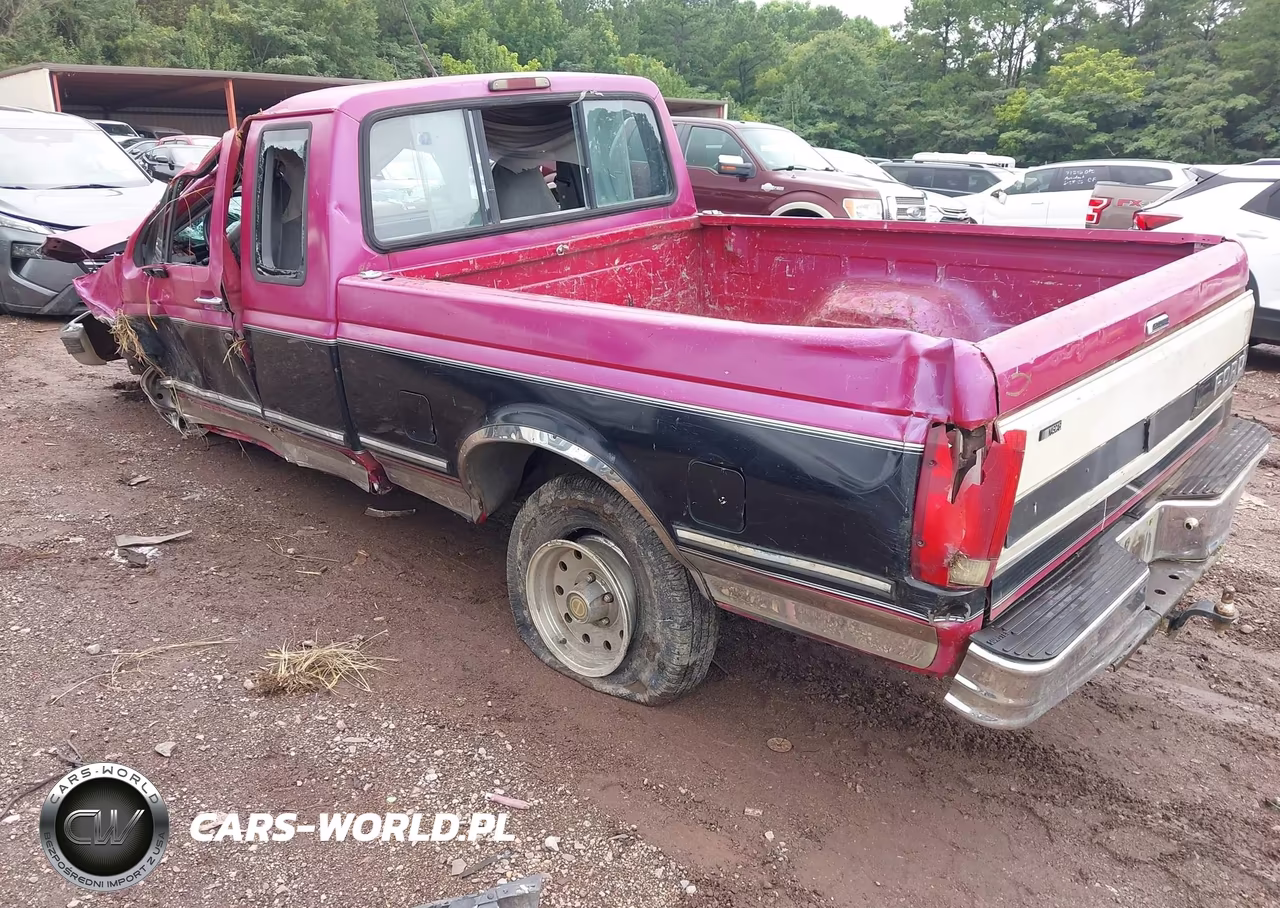 1994 Ford F150 VIN:1FTEX15N4RKA31359 - 3