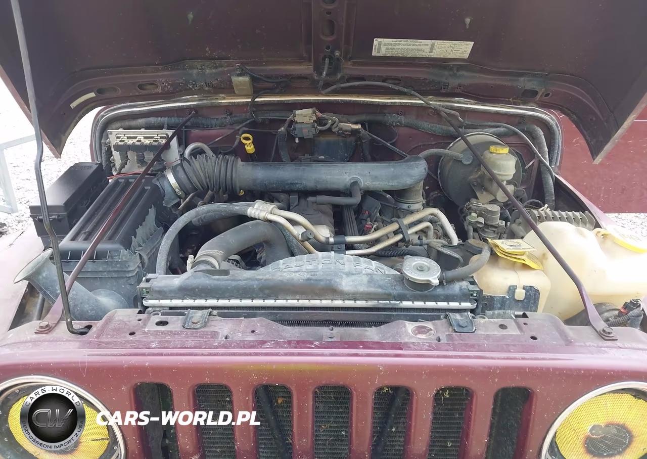 2003 Jeep Wrangler X VIN:1J4FA39S83P304244 - 10