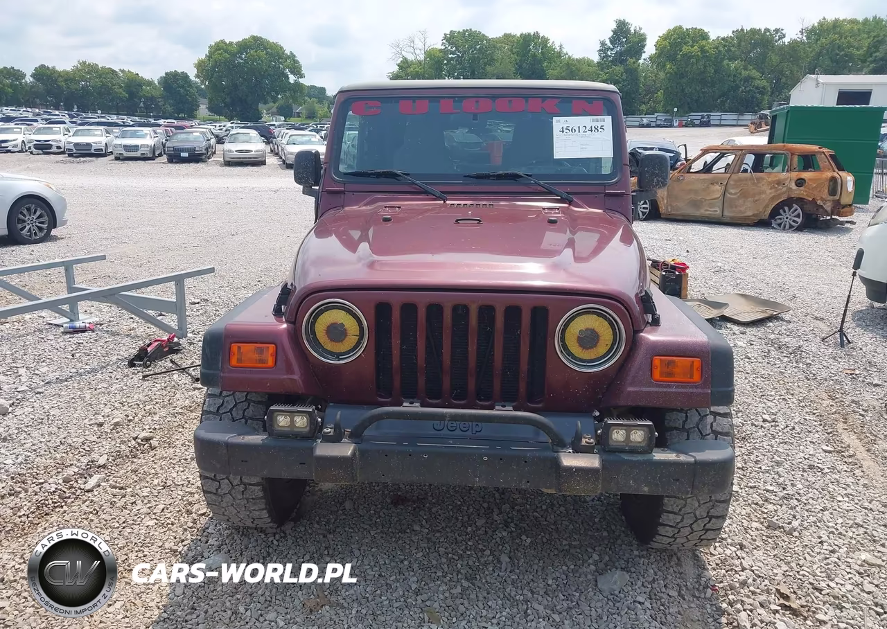 2003 Jeep Wrangler X VIN:1J4FA39S83P304244 - 11